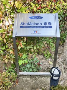 シャーメゾン来春　＊＊ A0201号-15