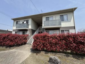 オレンジベル　Ａ棟　＊＊