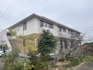 シャーメゾン小牧　＊