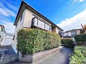 ダイアンサスＫ・Ⅲ　＊＊