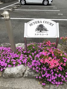 ステラコート　Ａ棟　＊＊ A0201号-15