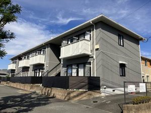 サンバレイ　＊ A0203号-1