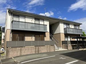 アンシェラ形貝　Ｃ棟　＊