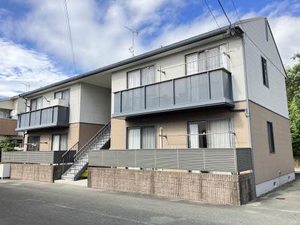 アンシェラ形貝　Ｄ棟　＊