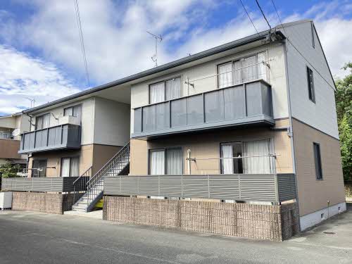 アンシェラ形貝　Ｄ棟　＊