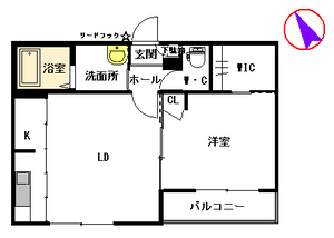 フェアリーウィング　＊ A0202号-16