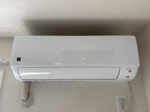 フレグランス常磐　Ｂ棟 B0203号-9