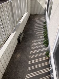 オオノニューコーポ　Ｄ棟　＊＊ D0101号-5