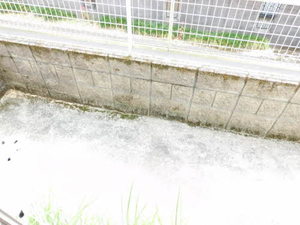 サンロード　Ｄ棟 D0102号-13