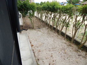 ＡＸＩＳ－Ⅱ　Ｂ棟　＊ B0105号-7