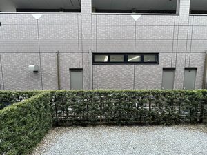 サンクチュアリー久留米Ⅵ　＊＊ F0103号-12