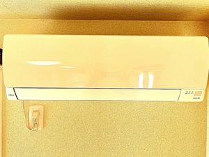 ステラパラッツオ A棟 A0101号-9