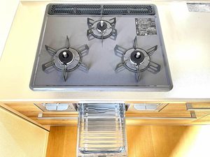 ステラパラッツオ A棟 A0101号-15