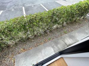 ディアスＫ　＊＊ A0102号-10