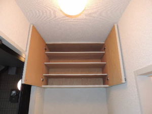 ディアスチェリー A0103号-12