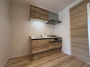 ドミール谷口　Ｂ棟　＊＊ B0101号-3