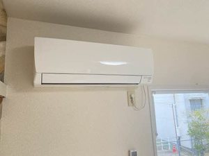 グリーンハイツ川平 A0102号-10