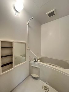 ディアス・ベイスン　＊＊ A0102号-4