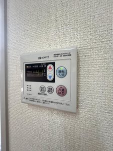 ディアス・ベイスン　＊＊ A0102号-11