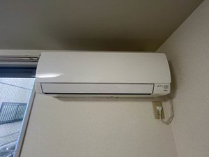 ディアス・ベイスン　＊＊ A0102号-14