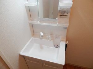 ヴァン・ヴェール　Ｂ棟　＊＊ B0201号-5