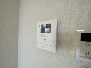 ディアスさや　＊＊ A0102号-10