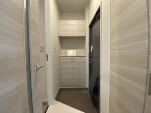 ディアスさや　＊＊ A0102号-11