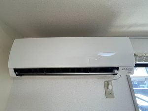 ディアスＥ＆Ｎ　＊ A0203号-13