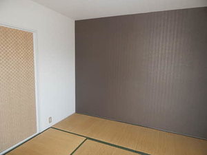 ディアス藤下 C棟 * C0102号-11