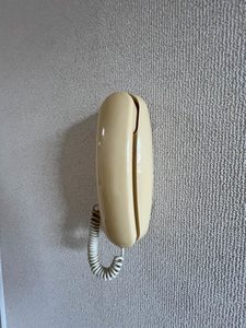 メルベイユ A棟 * A0202号-11