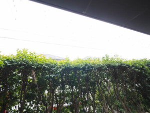 ＡＸＩＳ桑野Ⅲ　Ｂ棟　＊＊ B0101号-13