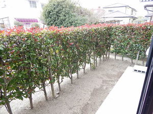 リーブル21 A棟 ** A0101号-6