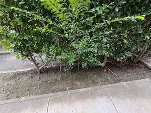 ディアスイースト　Ａ棟　＊ A0102号-13