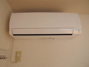 バリュージュ・ウィング * A0201号-13