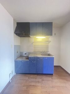 ディアス大王谷　＊ A0105号-6