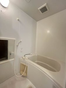 ディアス大王谷　＊ A0105号-10