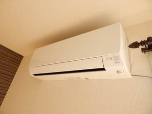 サニーパル　Ｂ棟　＊＊ B0201号-10