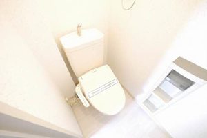 パットターンヒルズⅡ B棟 B0201号-12