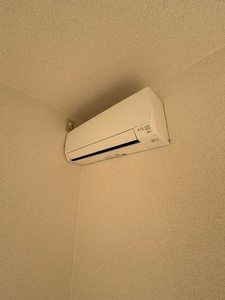 カーサディアス　＊＊ A0101号-13