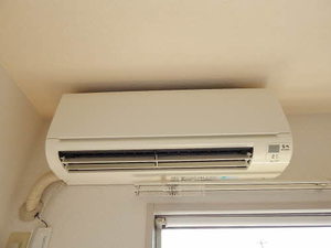 Dias ワイ A0206号-10