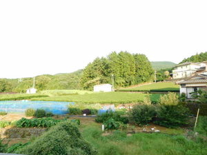 グリーンハイツ A0201号-11