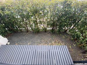 グリーングラス A棟 * A0101号-13