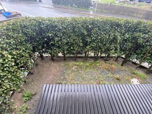 プリムヴェールパルク A棟 * A0101号-13