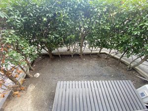 ドミール２００４　Ａ棟　＊＊ A0101号-13