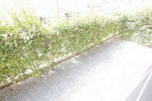 ドミール２００４　Ｂ棟　＊＊ B0102号-10