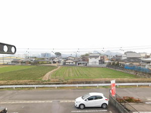 エレガンスN * A0201号-12