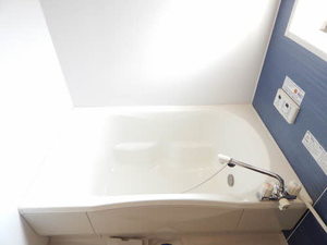 メルヴェール・コンフォルト　＊ A0203号-1