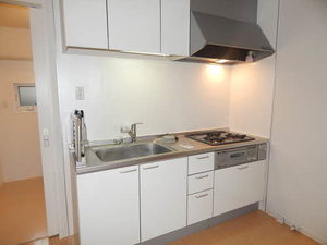 グリーン　ヴュー　Ｂ棟　＊＊ B0102号-15