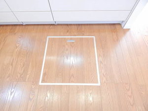 アメイジンググレイス　＊＊ A0201号-4