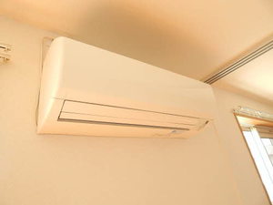 アメイジンググレイス　＊＊ A0201号-5